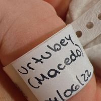 Isabel Macedo presentó a su nueva bebé, Julia