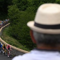 El pelotón rueda durante la segunda etapa de la 74ª edición de la carrera ciclista Criterium du Dauphine, de 170 km entre Saint-Peray y Brives-Charensac. | Foto:MARCO BERTORELLO / AFP