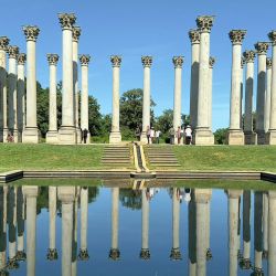 Las Columnas del Capitolio Nacional (que originalmente sostenían el Pórtico Este del Capitolio de los Estados Unidos) se ven en el Arboreto Nacional de los Estados Unidos en Washington, DC. | Foto:Daniel Slim / AFP