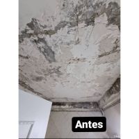 ¿Queres pintar tu casa?