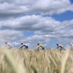 El pelotón rueda en la tercera etapa de la 74ª edición de la carrera ciclista Criterium du Dauphine, de 169 km entre Saint-Paulien y Chastreix-Sancy. | Foto:MARCO BERTORELLO / AFP
