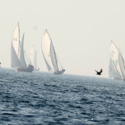 Marineros participan en la carrera anual de vela de larga distancia, conocida como al-Gaffal, cerca de la isla de Sir Abu Nuair, en dirección al emirato de Dubai, en el Golfo. | Foto:KARIM SAHIB / AFP