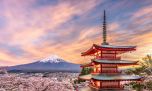 Japón terminará con las restricciones para el ingreso de turistas internacionales