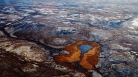 El cambio climático arrasaría por completo con la tundra siberiana.