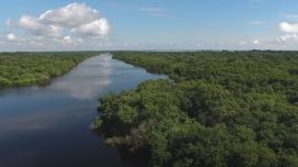 América Latina alberga el 40% de la biodiversidad del mundo