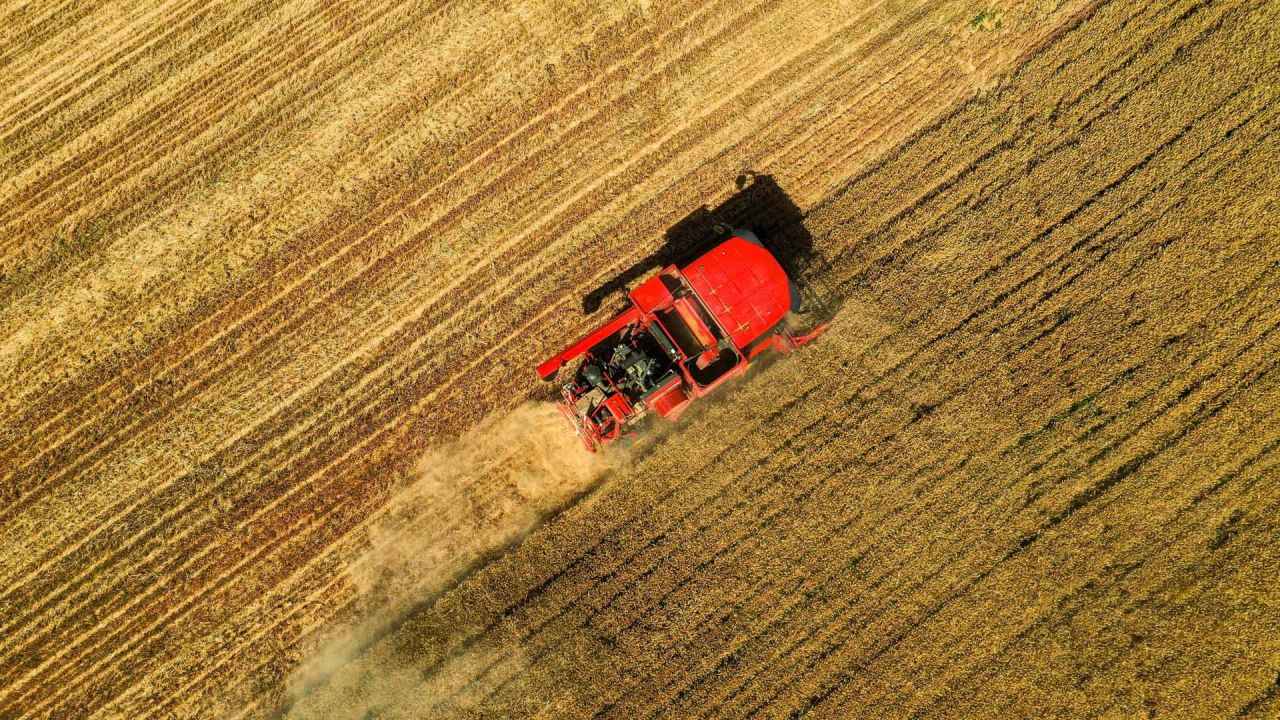 Vista aérea de una cosechadora laborando en campos de trigo, en la aldea de Xisong del municipio de Sansi, en la provincia de Hebei, en el norte de China. | Foto:Xinhua/Zhu Xudong