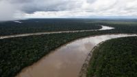 amazonia