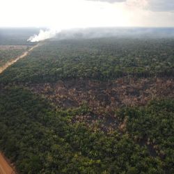 Durante 2020, Global Witness clasificó a la nación sudamericana como el cuarto país más peligroso para el activismo ambiental