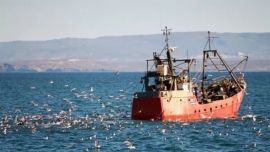 Se trata de un importante avance en la trazabilidad de la gestión pesquera argentina.