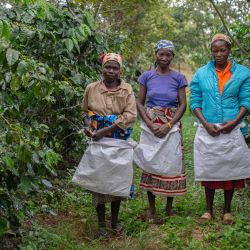 Mujeres que trabajan como recolectoras de café posan para un retrato en las plantaciones de la sierra de Gorongosa. | Foto:Alfredo Zuniga / AFP