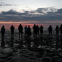 Turistas disfrutan de la puesta de sol durante una caminata por un lodazal en la costa del Mar del Norte, cerca del pequeño pueblo de Harlesiel, en el norte de Alemania. | Foto:Christof Stache / AFP