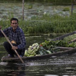 Un hombre rema a bordo de su bote cargado de hortalizas en un mercado flotante de verduras en el lago Dal, en la ciudad de Srinagar, capital de verano de Cachemira, administrada parcialmente por India. | Foto:Xinhua/Javed Dar