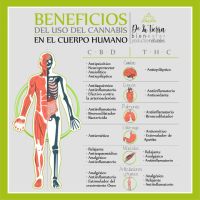 Aceite medicinal de cannabis De La Tierra Bienestar® y El Insomnio