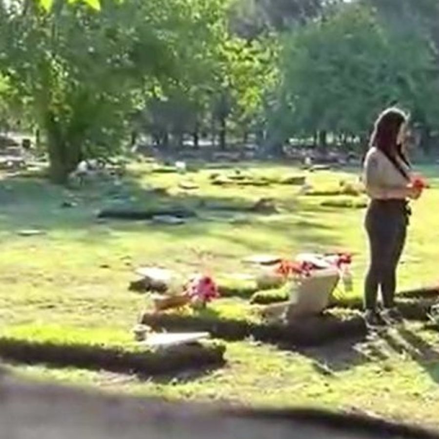 Indignación en Hurlingham: en el cementerio no solo hay robos, también videos  porno | Perfil