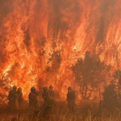 Los bomberos actúan en el lugar de un incendio forestal en Pumarejo de Tera, cerca de Zamora, en el norte de España. | Foto:CESAR MANSO / AFP