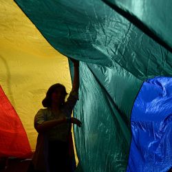 Una mujer es vista bajo una bandera gigante durante el desfile anual del Orgullo Gay también conocido como "La Marche des Fiertes LGBT+" en francés en Estrasburgo, este de Francia. | Foto:SEBASTIEN BOZON / AFP