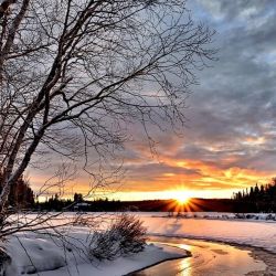 El otoño que acaba de despedirse fue el 5° más frío de los últimos 62 años, 