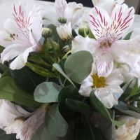 Eliana Castillo - Event & Wedding Planner 