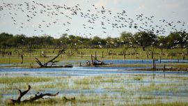 La laguna Mar Chiquita o Mar de Ansenuza es mundialmente conocida no solo por ser el mayor lago salado de toda Sudamérica y el quinto del mundo