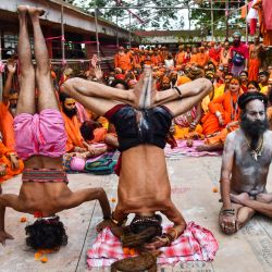Sadhus realizan yoga para celebrar el Día Internacional del Yoga en el Templo Kamakhya en Guwahati. | Foto:BIJU BORO / AFP