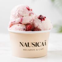 Nausicaä: Helados artesanales 