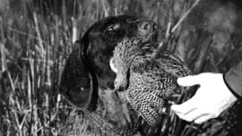 2306_relatos_cielo_abierto