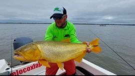 Algunas piezas llegaron a los 10 kg de peso, un porte más que interesante.