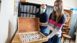 Los artrópodos voladores fueron encontrados en un área semidegradada de la Selva Paranaense, en el extremo sur de la Selva Atlántica.