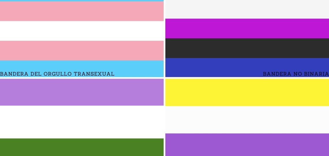 LGBTiQ+: Cuáles son las banderas de la diversidad y qué representa cada una 