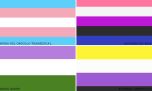 LGBTiQ+: Cuáles son las banderas de la diversidad y qué representa cada una