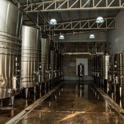 Ferraro Wines: Bodega mendocina | Foto:CEDOC
