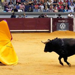 El matador mexicano Joselito Adame realiza un pase a un toro durante una corrida de toros en la plaza de toros del Coliseo de Burgos. CESAR MANSO / AFP | Foto:AFP