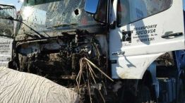 Accidente de un camionero atacado a piedrazos