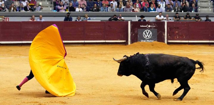 El matador mexicano Joselito Adame realiza un pase a un toro durante una corrida de toros en la plaza de toros del Coliseo de Burgos. CESAR MANSO / AFP