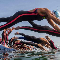 Los nadadores toman la salida del evento de natación en aguas abiertas de 10 km para mujeres durante el Campeonato Mundial Acuático de Budapest. FERENC ISZA / AFP. | Foto:AFP