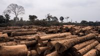 Brazilian Amazon Burns At Record Rate