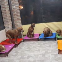 Todo un mundo para tu vida