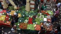 Observatorio RePerfilAr: qué ocurrió con las frutas y verduras en junio
