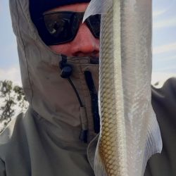 En La Monona, la pesca se realiza preferentemente de fondo, haciendo largos tiros desde la costa utilizando cañas de 3,60 m que puedan lanzar plomos de hasta 125 gramos.