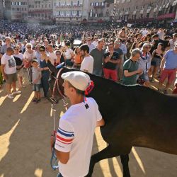 "Una per Tutti", la carrera de caballos de la "Pantera", se lleva a la Piazza del Campo para un ensayo, en vísperas de la histórica carrera de caballos italiana "Palio di Siena" en Siena, Toscana. Alberto PIZZOLI / AFP. | Foto:AFP