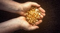 Oro 20220701