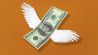 Undeclared wealth, capital flight, stock