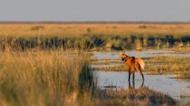 Ansenunza ya es oficialmente el Parque Nacional número 41 de la Argentina.