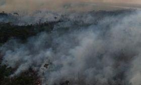 Brazil Amazon Environmental Fires 