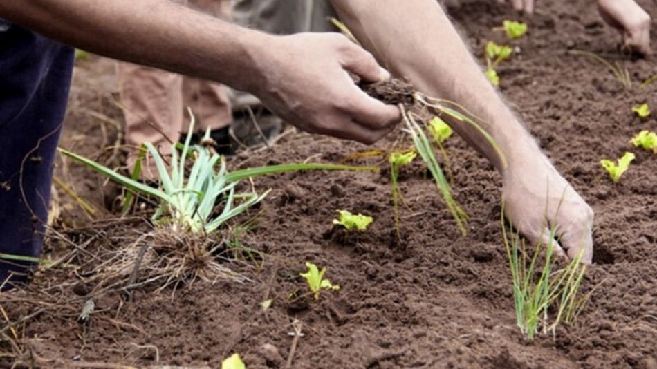 Agroecología: un estilo de vida que crece