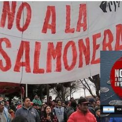 Las comunidades de ambos países vecinos reafirmaron el rechazo a la instalación de salmoneras en ese espejo de agua.