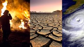 Es la primera herramienta del mundo para mostrar cómo el clima de cada día sufre cambios notables.