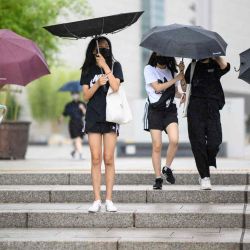 Los visitantes usan paraguas para protegerse de la lluvia mientras visitan el Museo Nacional de Corea en Seúl. Anthony WALLACE / AFP. | Foto:AFP