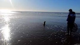 Había sido rescatado en las aguas del Riachuelo, en la localidad bonaerense de Avellaneda.