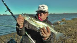 La Pandorga, Los Manantiales y Los Claveles, tres ámbitos lacustres que están dando pejerreyes en cantidad y de maravillosos portes.